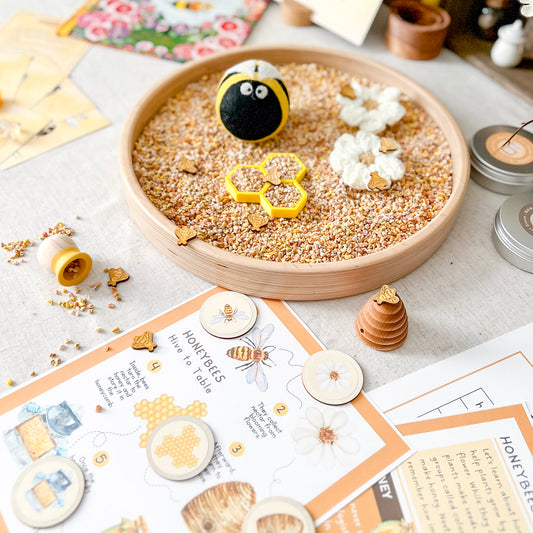 Dig and Play - Early Learning Subscription Box 2026 - Chickadees Wooden Toys