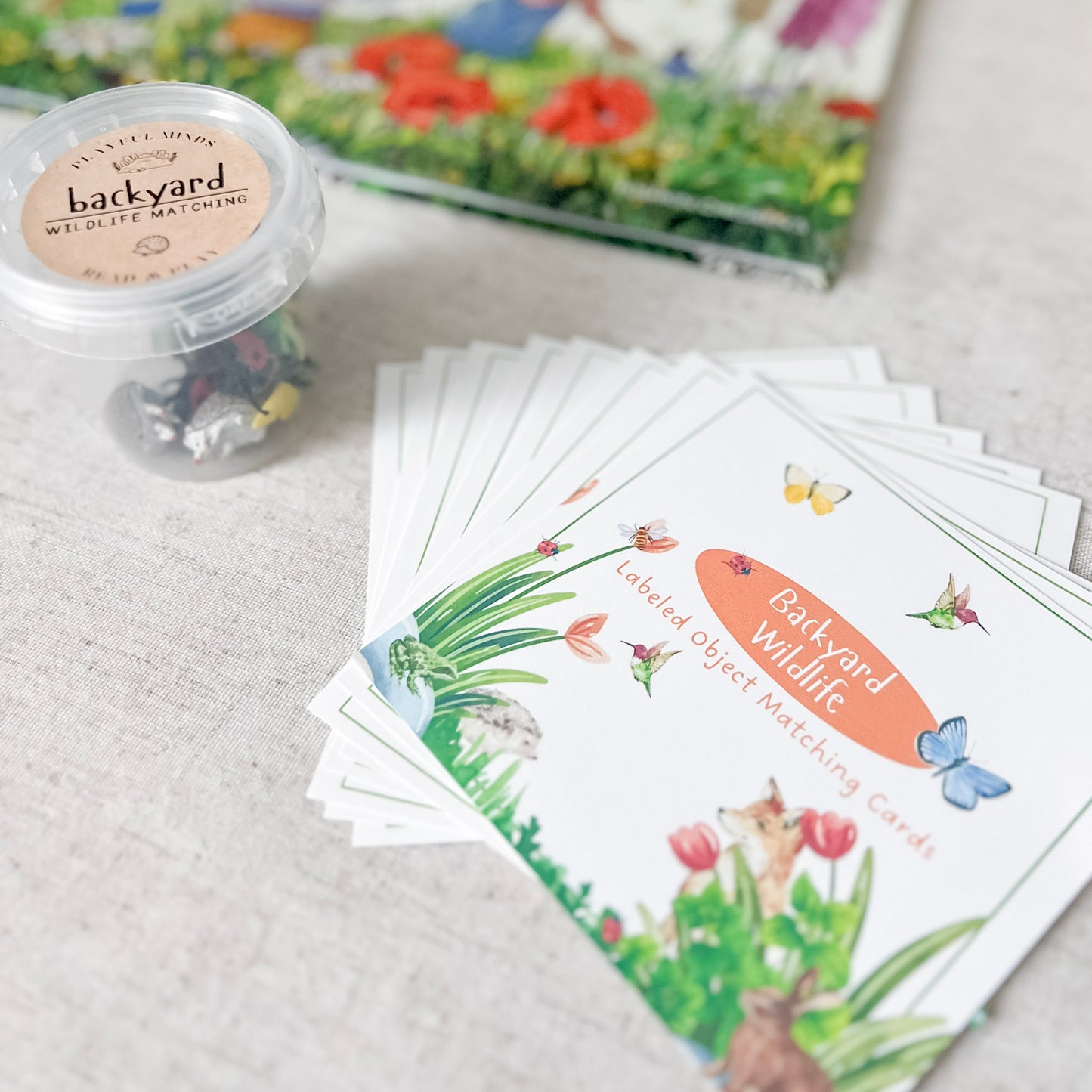 Read And Play - Early Learning Subscription Box 2026