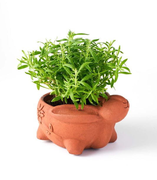 Rakshana Rabbit Plant Pot - Terracotta - Chickadees Wooden Toys