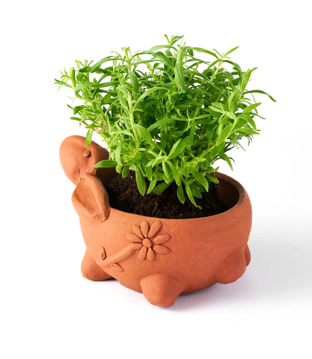 Rakshana Rabbit Plant Pot - Terracotta - Chickadees Wooden Toys