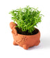 Rakshana Rabbit Plant Pot - Terracotta - Chickadees Wooden Toys