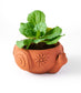 Rakshana Snail Plant Pot - Terracotta