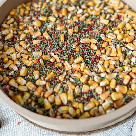 Farm Sensory Bin Filler - Chickadees Wooden Toys