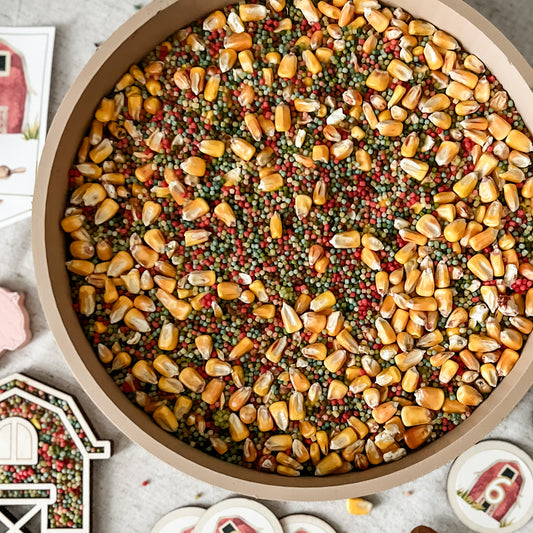 Farm Sensory Bin Filler