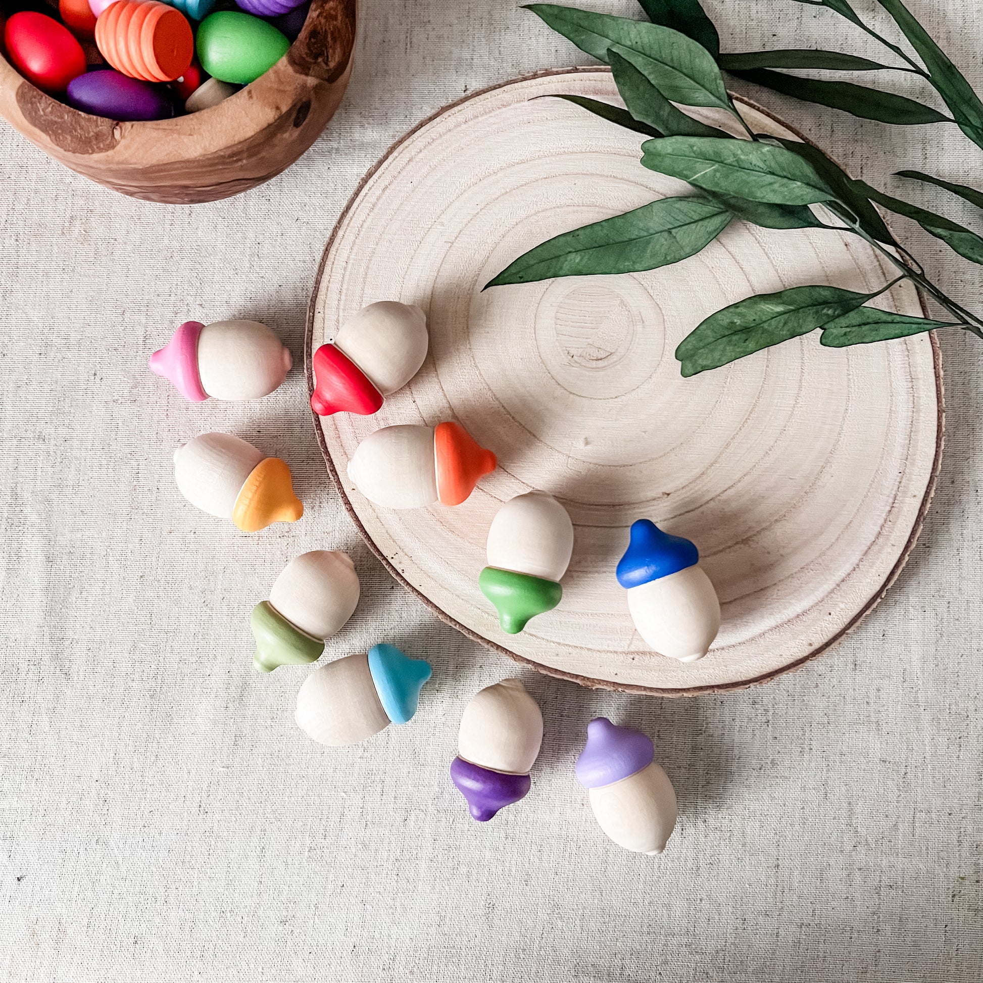 10 Toddler Size Rainbow Acorns - Chickadees Wooden Toys