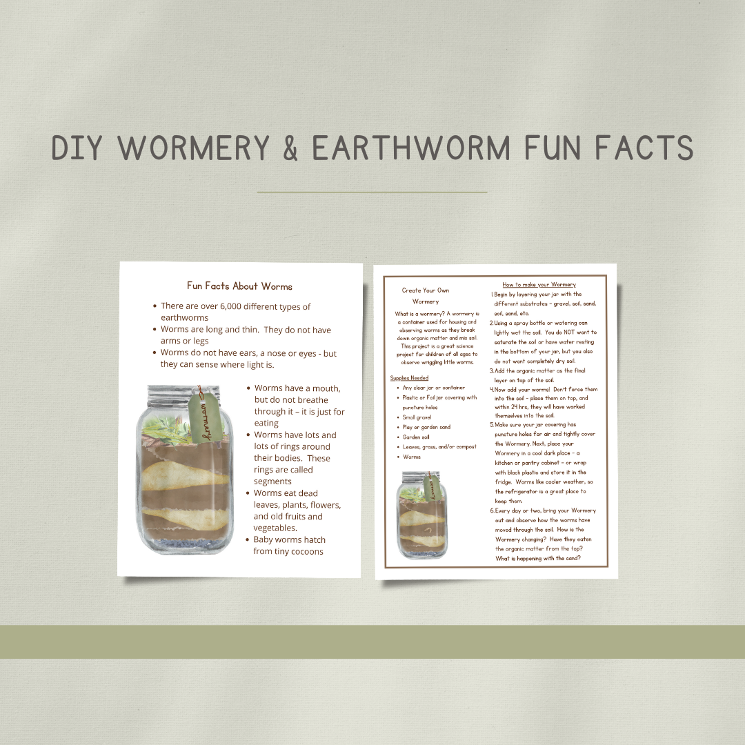 Earthworms Preschool Activity Pages - Chickadees Wooden Toys