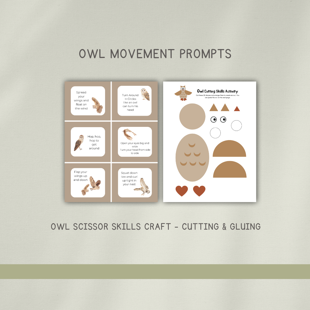 Barn Owls - Preschool Activity Pages