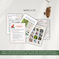 Winter Birds Activity Bundle - Chickadees Wooden Toys