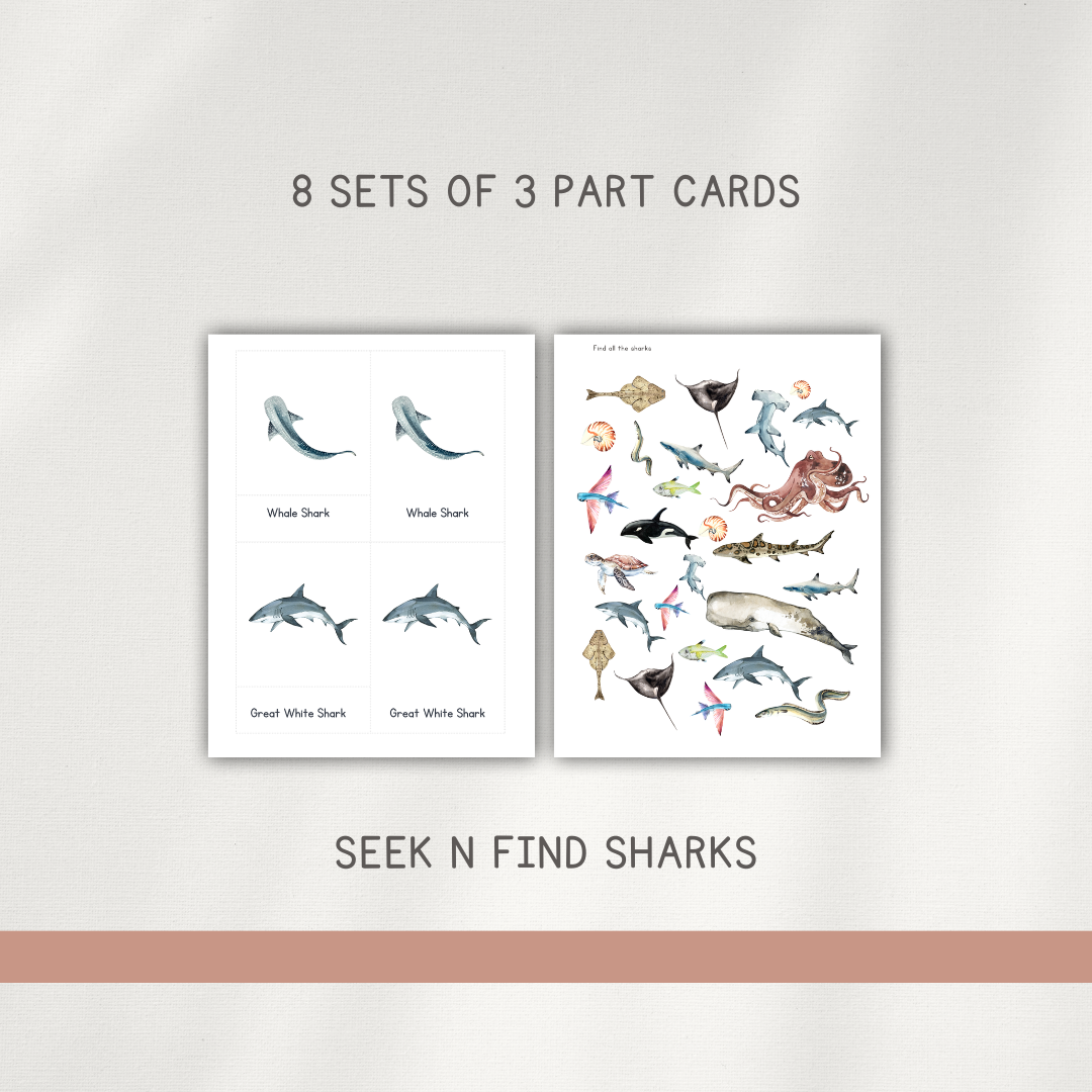 Sharks - Preschool Activity Pages