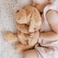 Charlie The Weighted Puppy Dog - Chickadees Wooden Toys