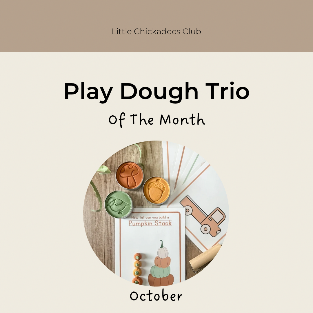 Play Dough of the Month - Save