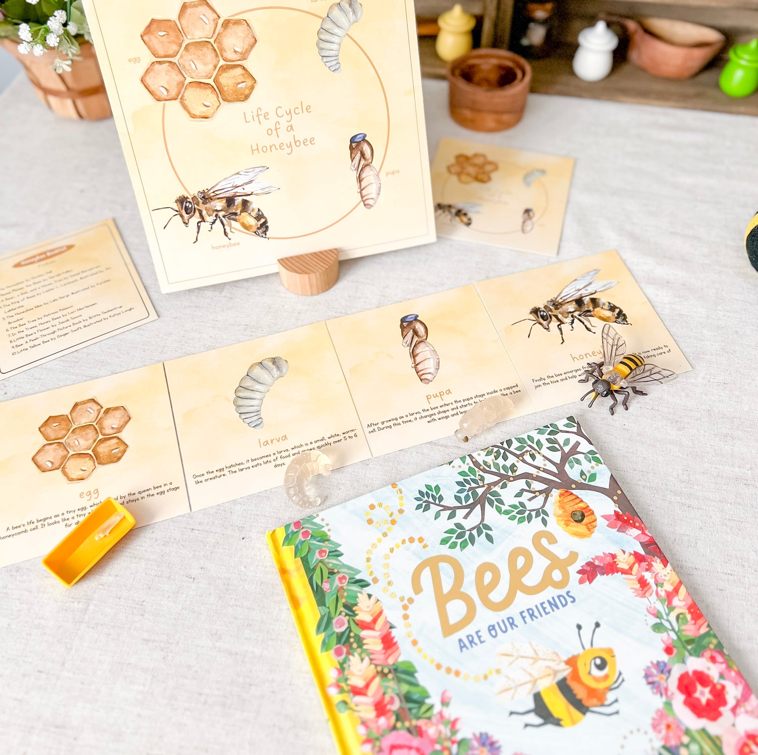 Read And Play - Early Learning Subscription Box 2026 - Chickadees Wooden Toys