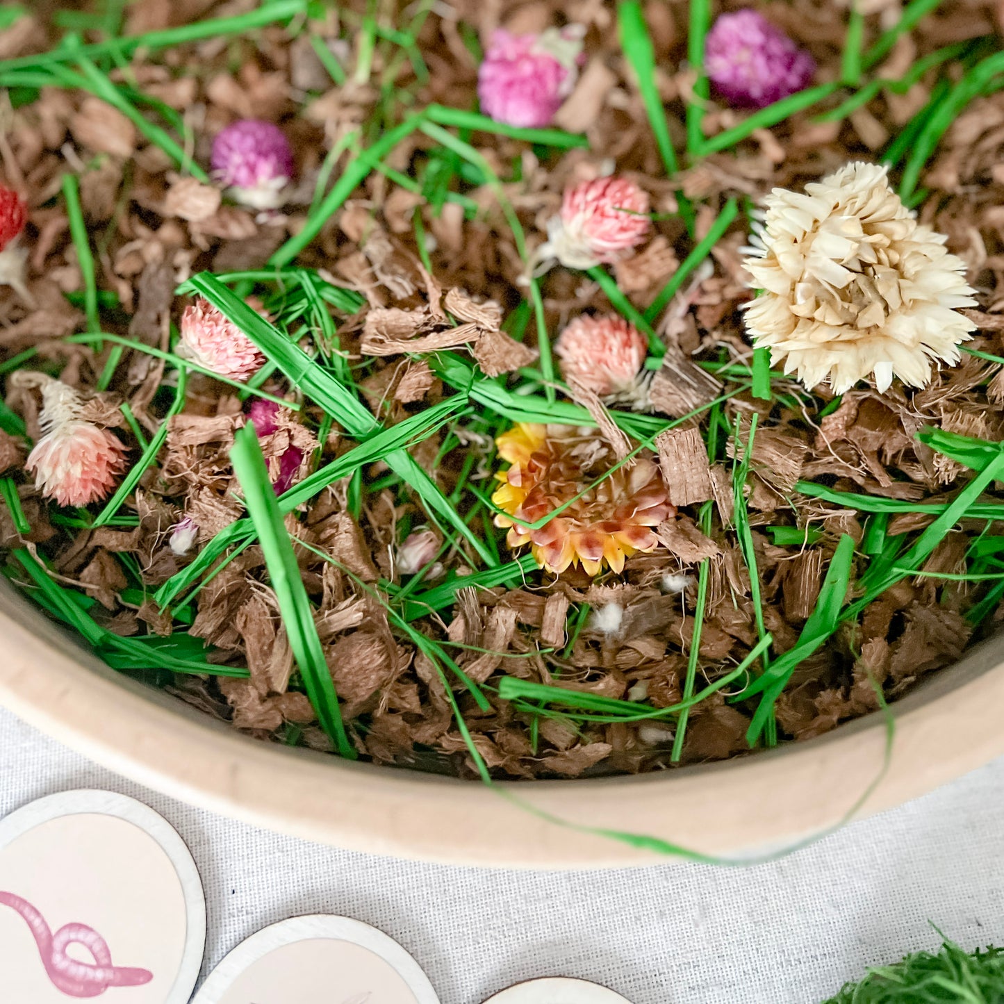Backyard Wildlife Dig & Play