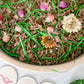 Backyard Wildlife Dig & Play