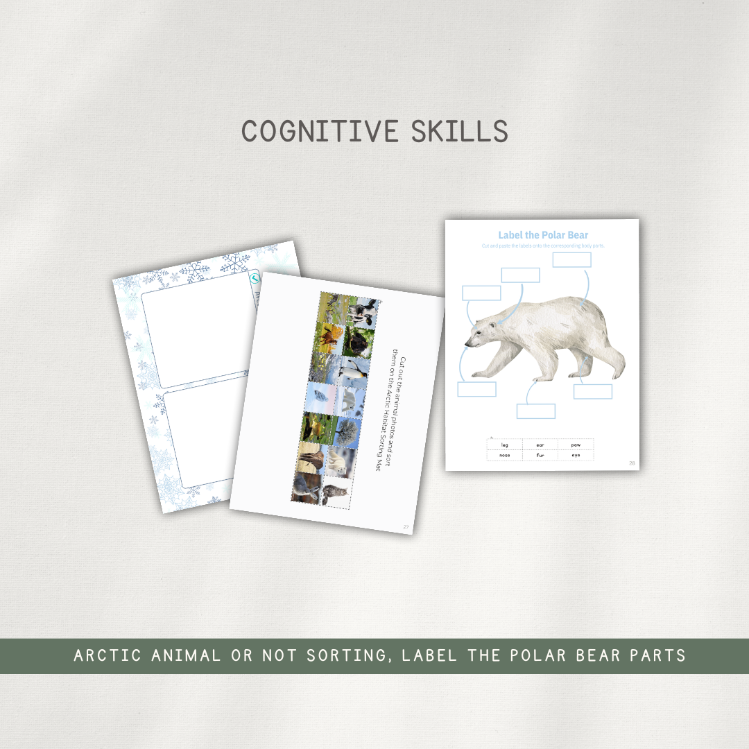 Printed Activity Pages - Early Learning Subscription