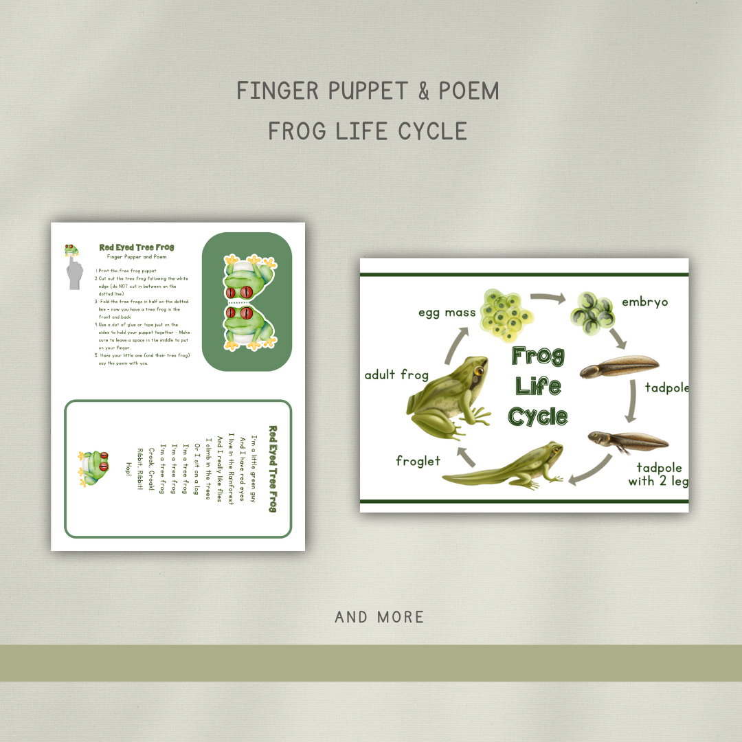 Frogs Preschool Activity Pages