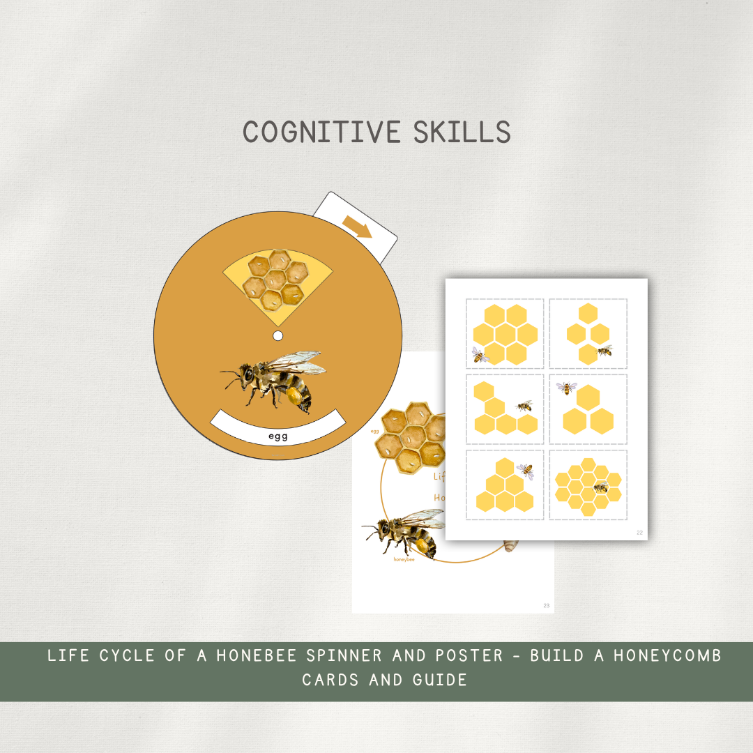 Honeybee Activity Bundle - Printed Packet - Chickadees Wooden Toys