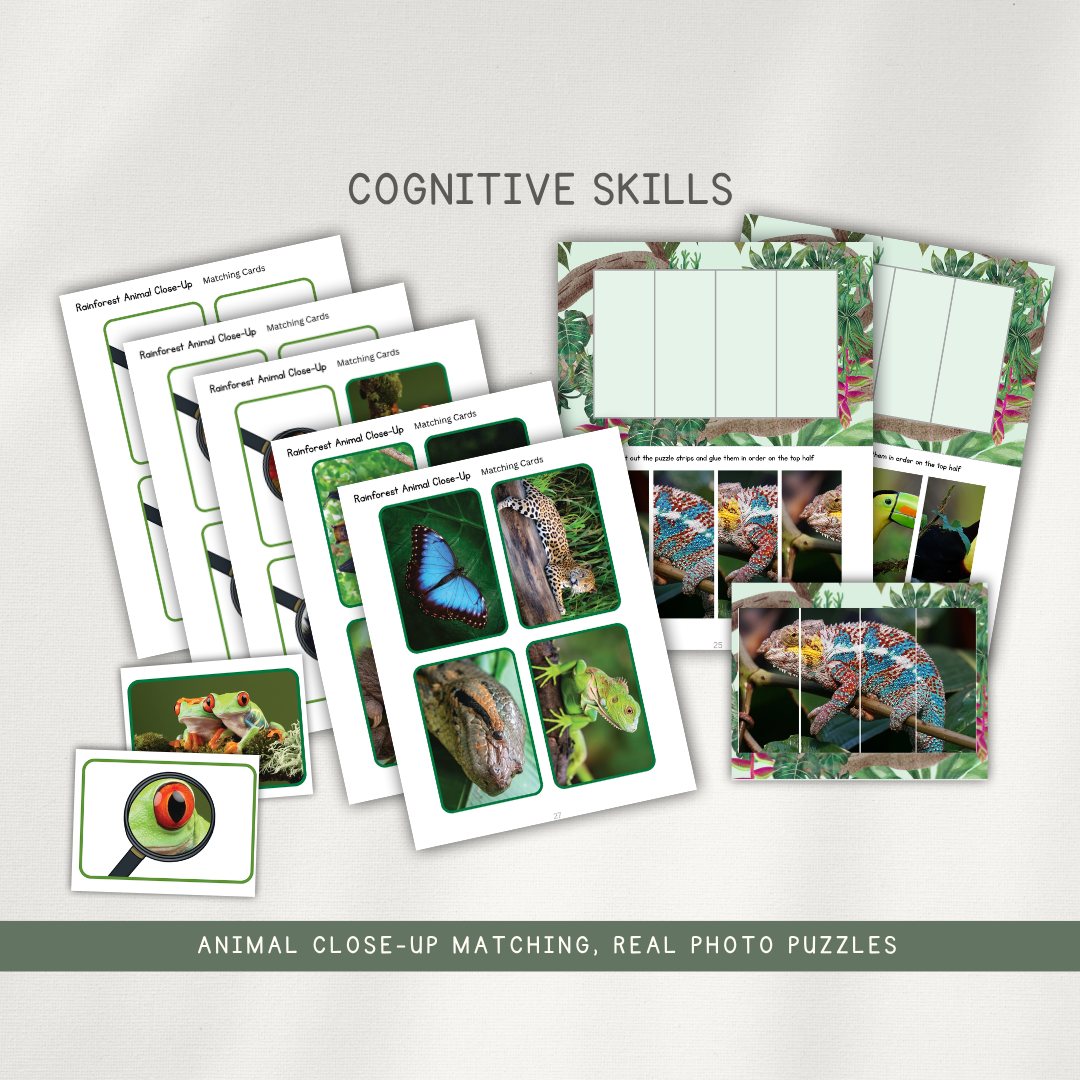 Tropical Rainforest Activity Pages - Printed Packet