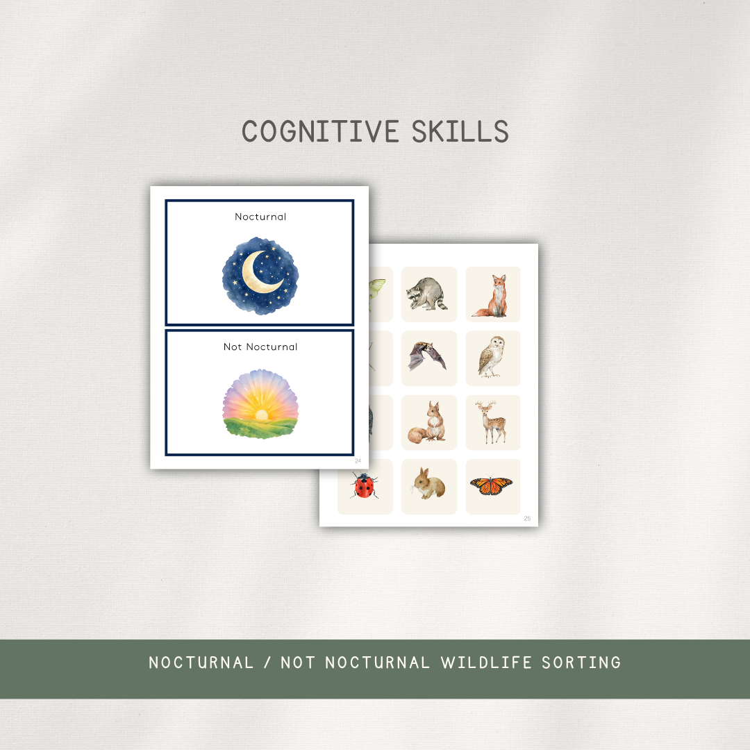 Printed Learning Adventure Bundle - Early Learning Subscription 2026