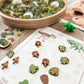 Dinosaur Dig & Play