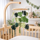 Felt Baby Mobile - Monstera Serenity - Chickadees Wooden Toys