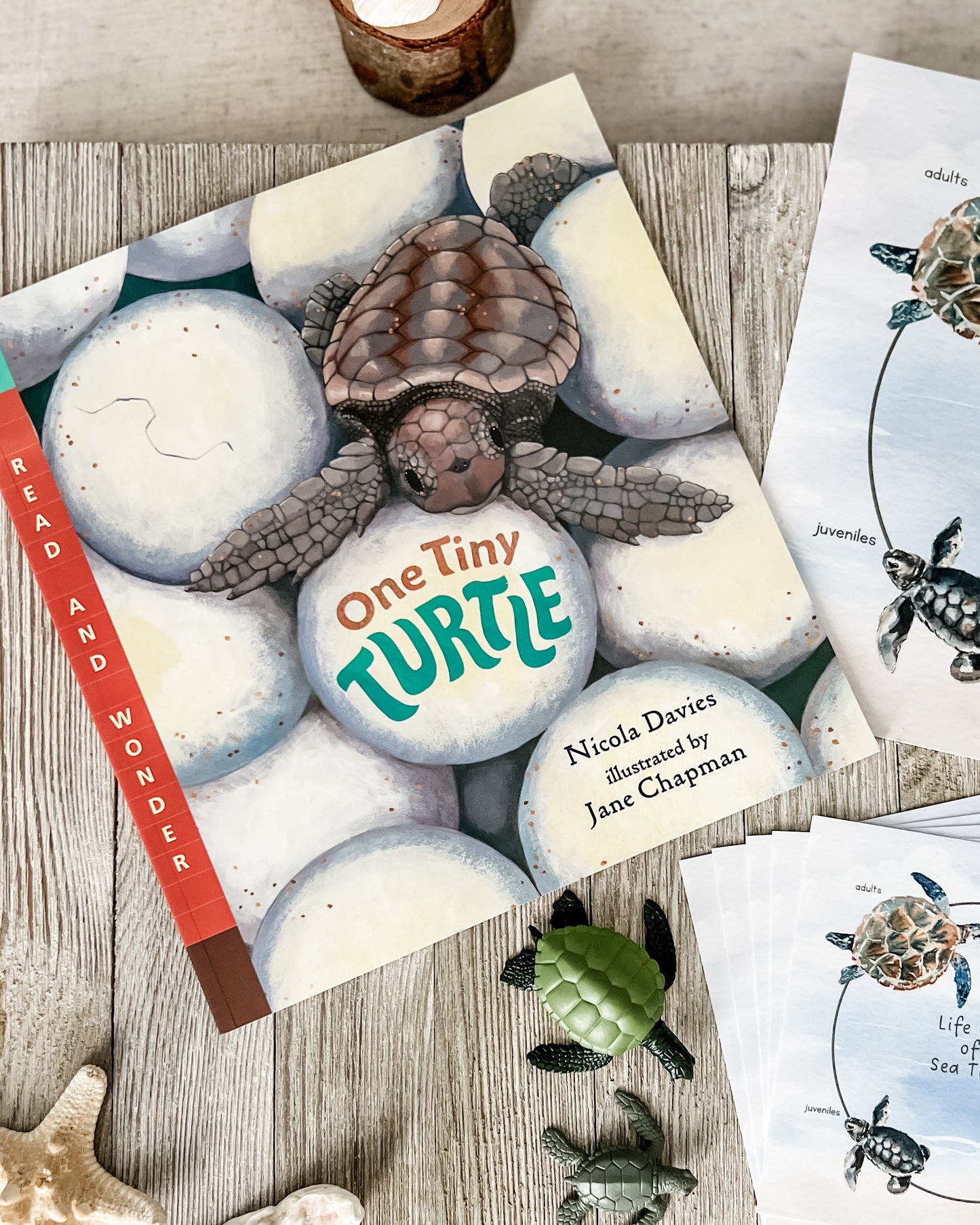 Read And Play - Early Learning Subscription Box 2026