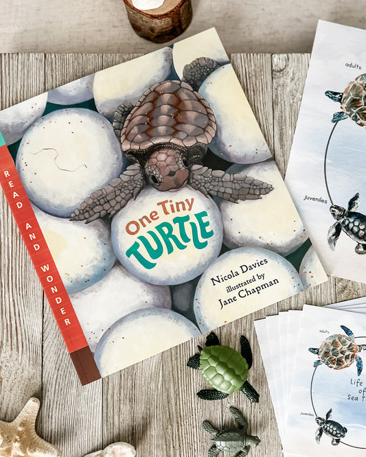 Read And Play - Early Learning Subscription Box 2026