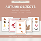 Autumn 🍂 Objects- Preschool Activity Pages