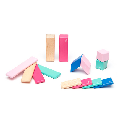14-Piece Set <br>Magnetic Wooden Blocks <br>Tegu Classics - Chickadees Wooden Toys