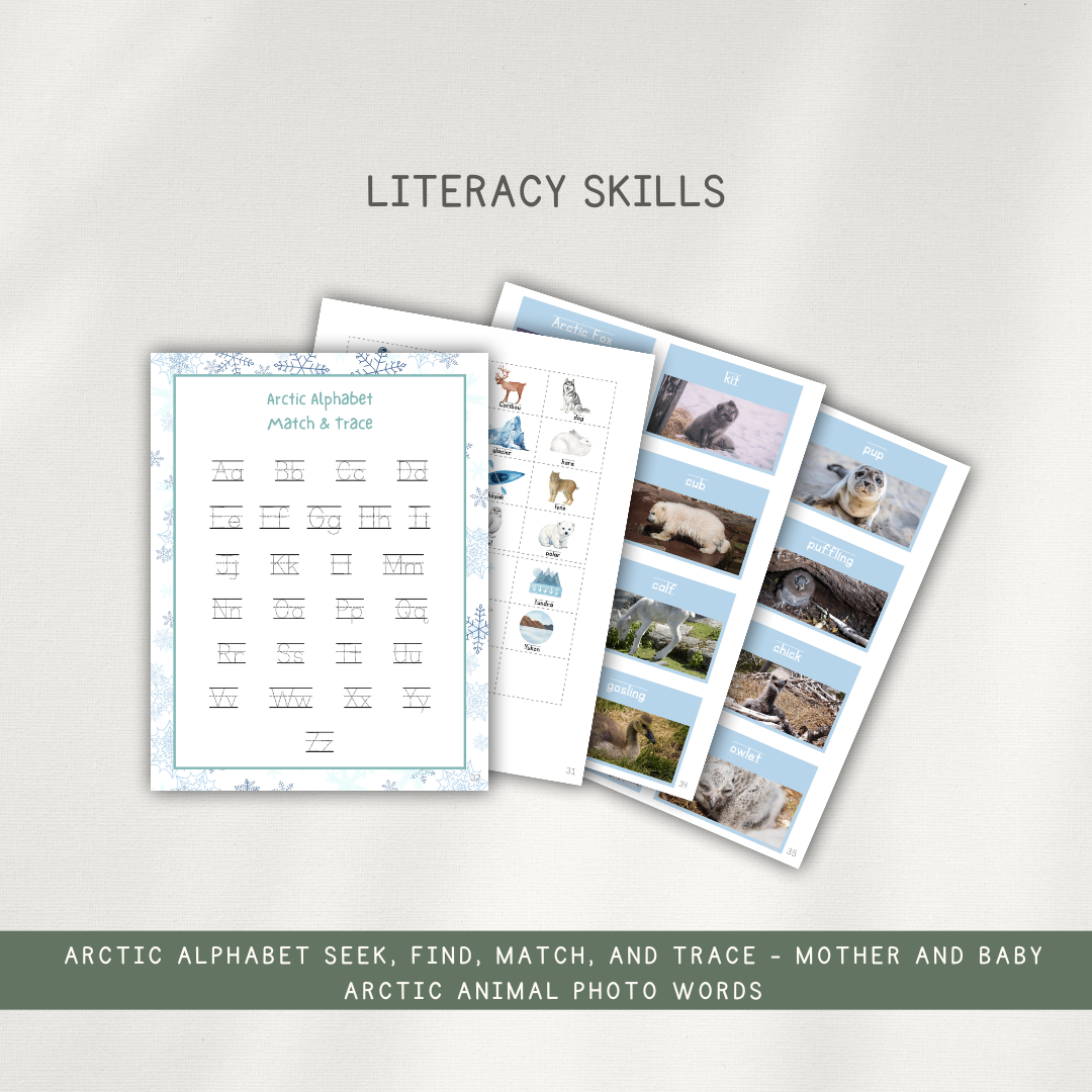 Arctic Activity Pages - Printed Packet
