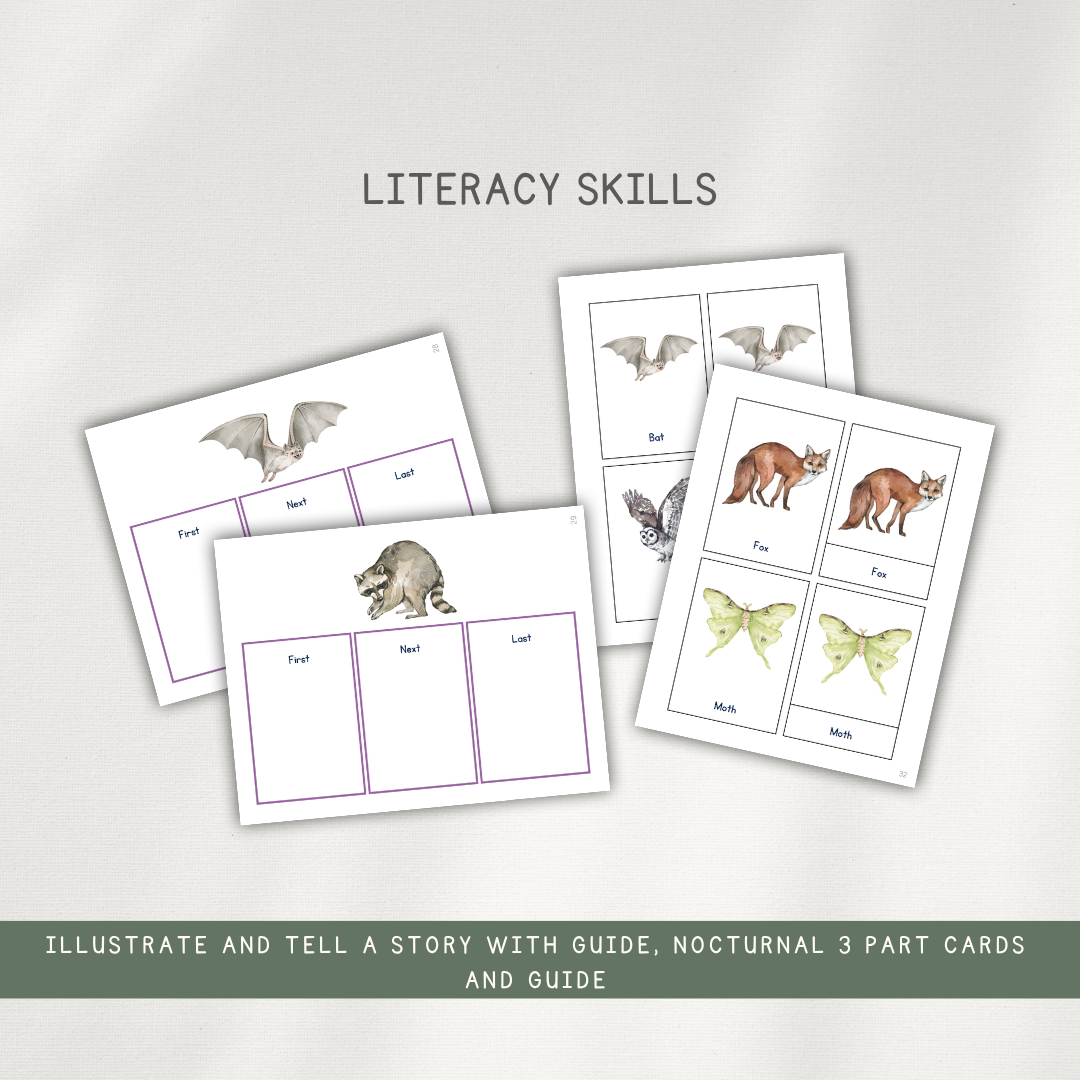 Printed Learning Adventure Bundle - Early Learning Subscription 2026