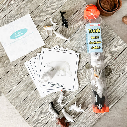 Arctic Animal Matching - Cards and Figures - Chickadees Wooden Toys