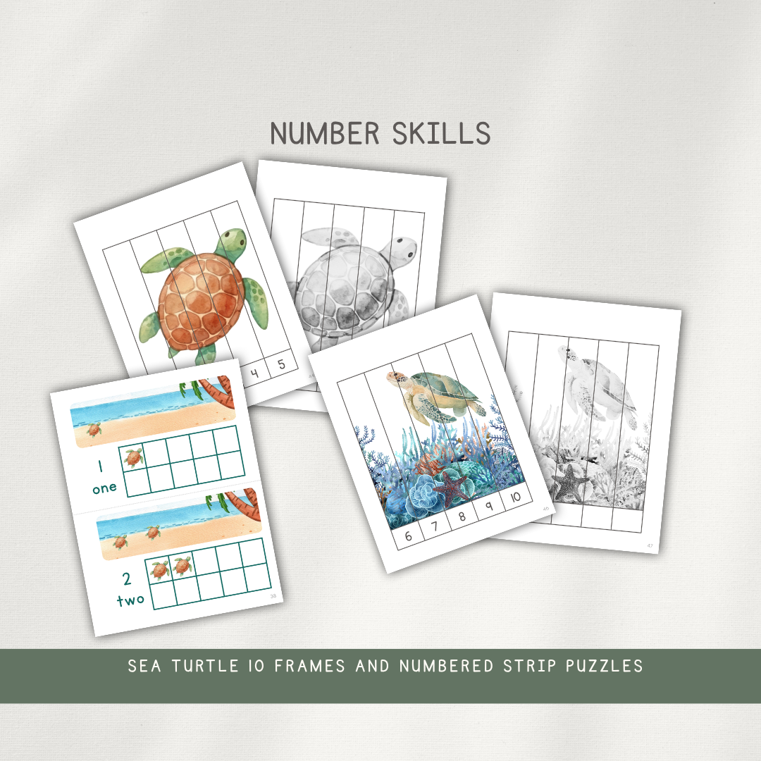 Sea Turtles - Activity Bundle for ages 3-8 - Digital Download
