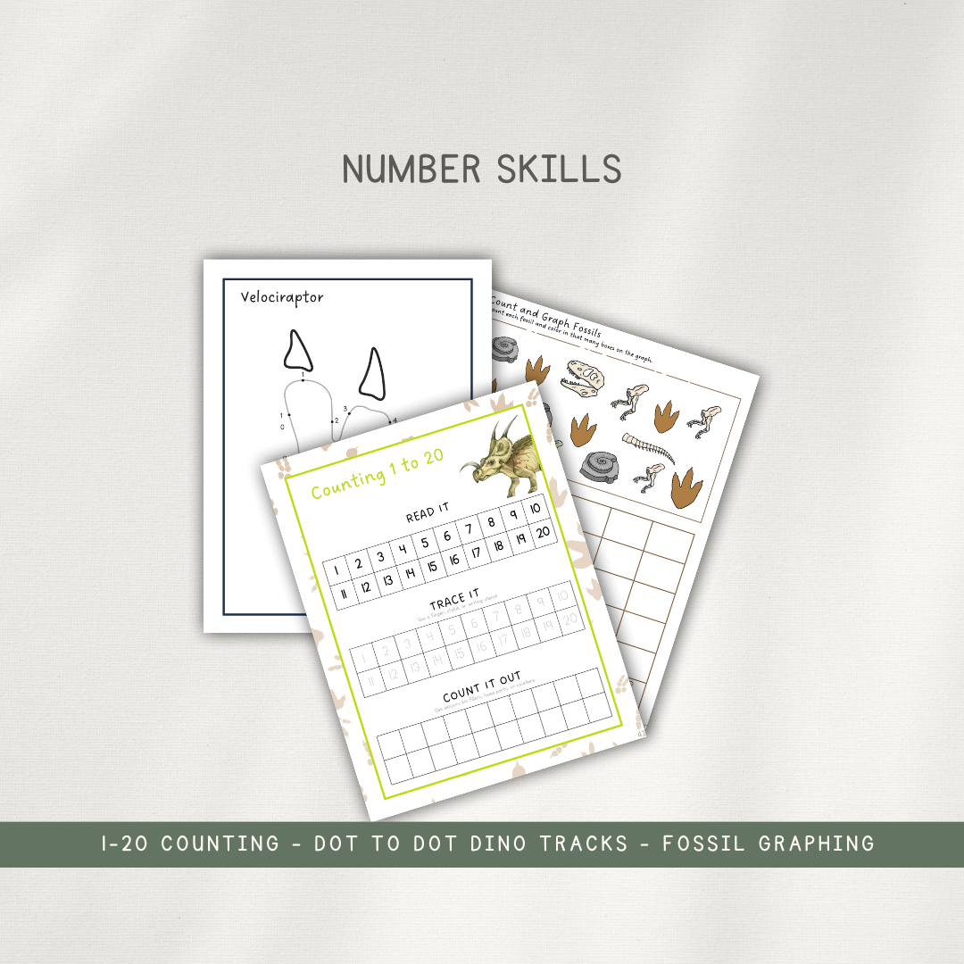 Printed Activity Pages - Early Learning Subscription