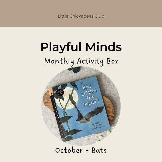 Playful Minds Activity Box