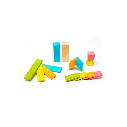 14-Piece Set <br>Magnetic Wooden Blocks <br>Tegu Classics - Chickadees Wooden Toys