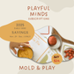 Mold and Play - Playful Minds Subscription