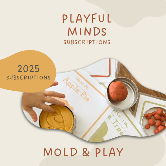 Mold and Play - Playful Minds Subscription