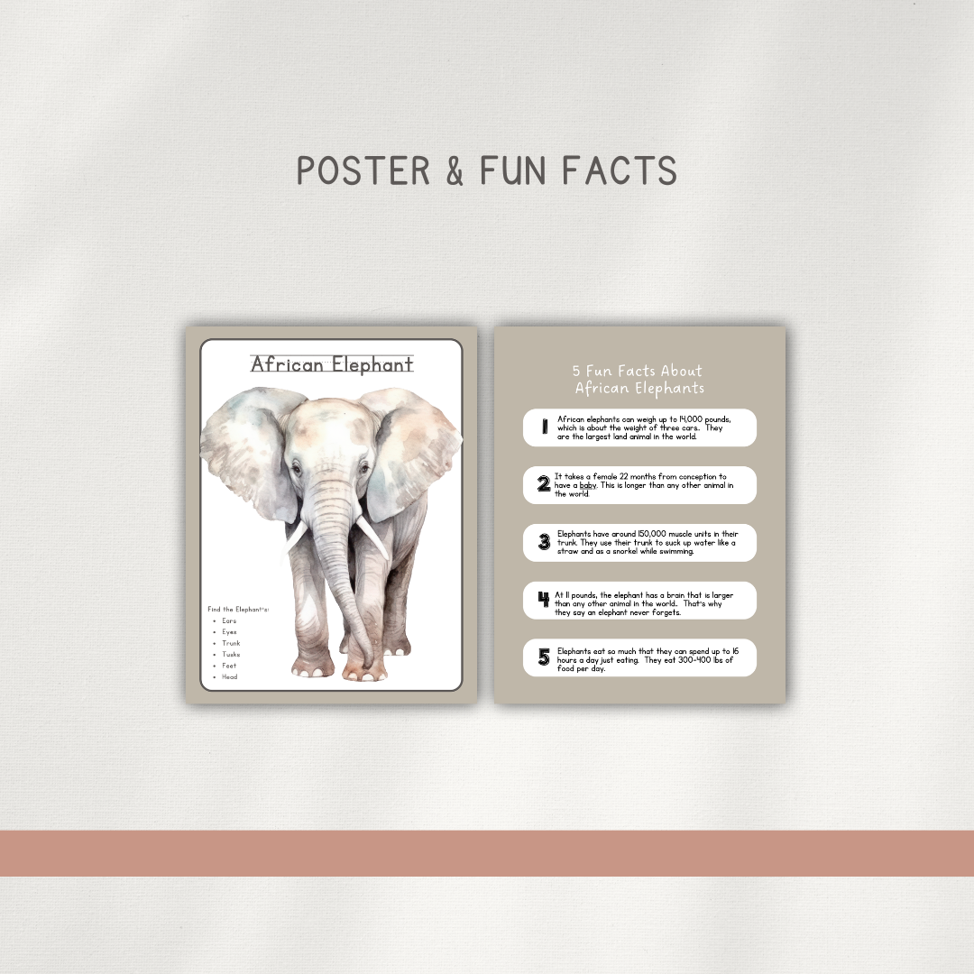 African Elephant - Preschool Activity Pages