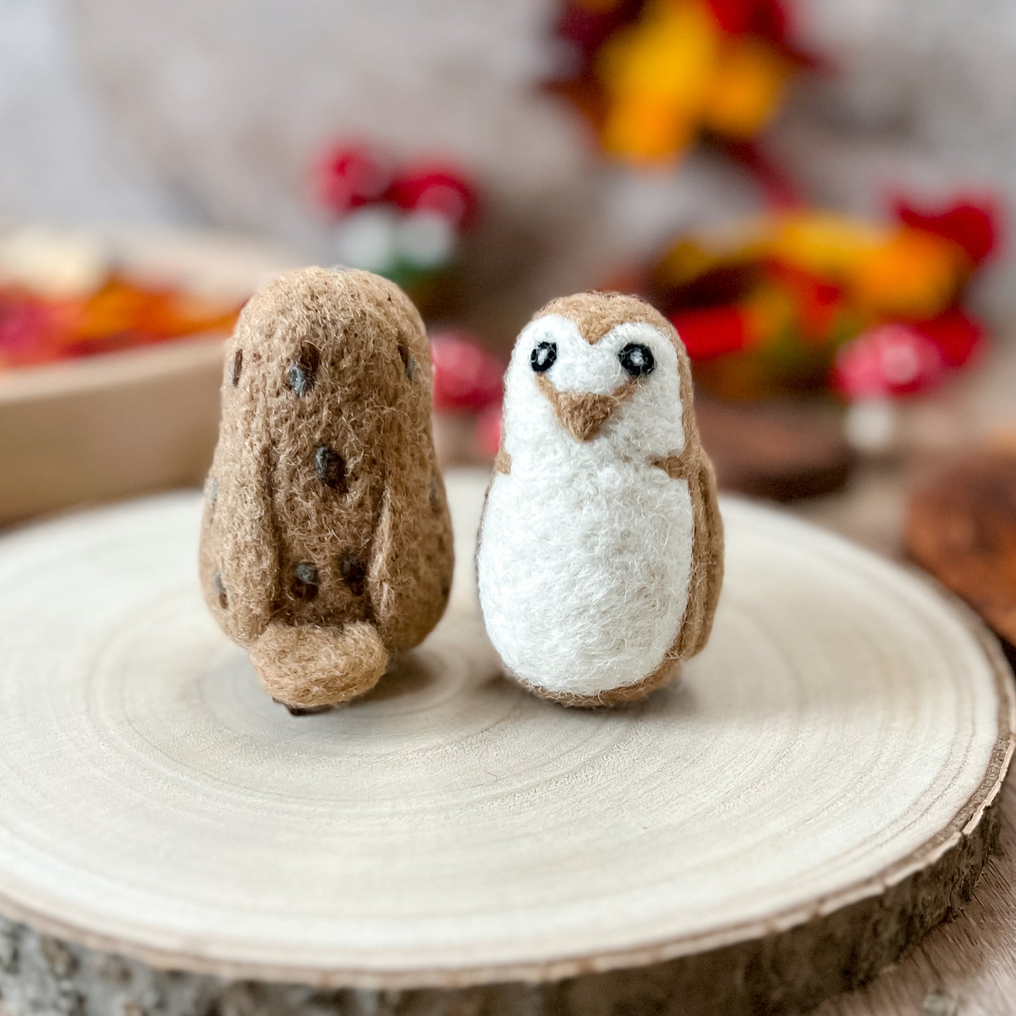 2 Wool Barn Owls