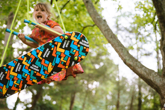 Adventure Skateboard Swing