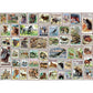 Animals of North America Vintage Stamps 500 Piece Jigsaw Puzzle Eurographics