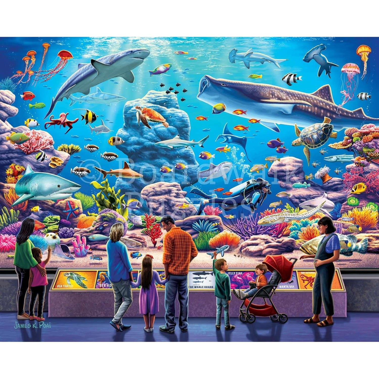 Aquarium 1000 Piece Jigsaw Puzzle Boardwalk