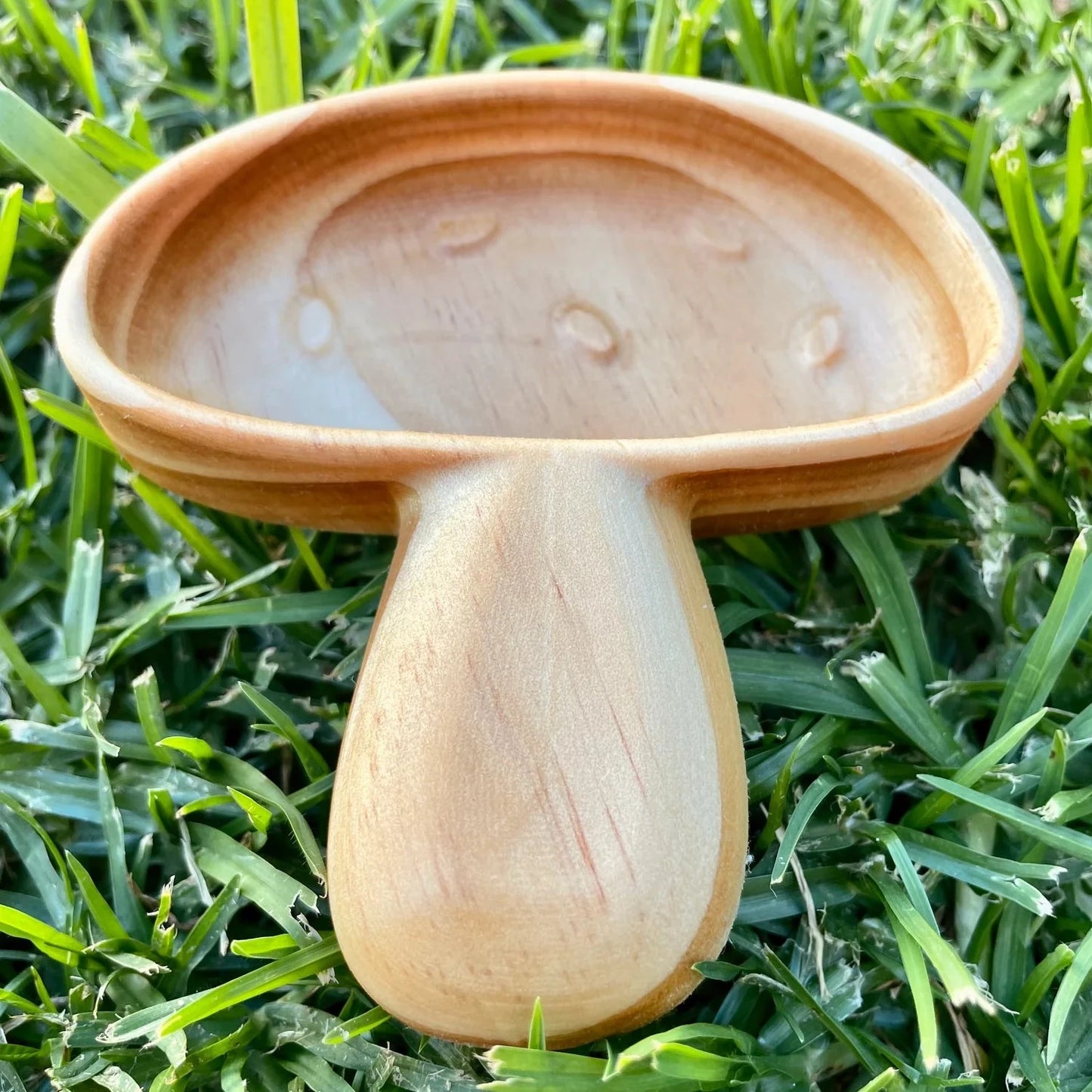 Mini Wooden Mushroom Tray
