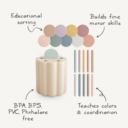 Coin & Tube Sorting Set - Chickadees Wooden Toys