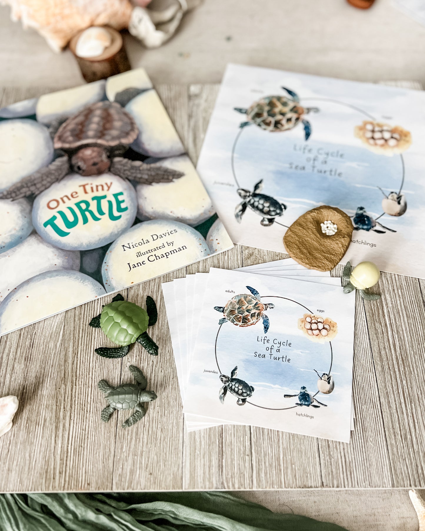 Read And Play - Early Learning Subscription Box 2026