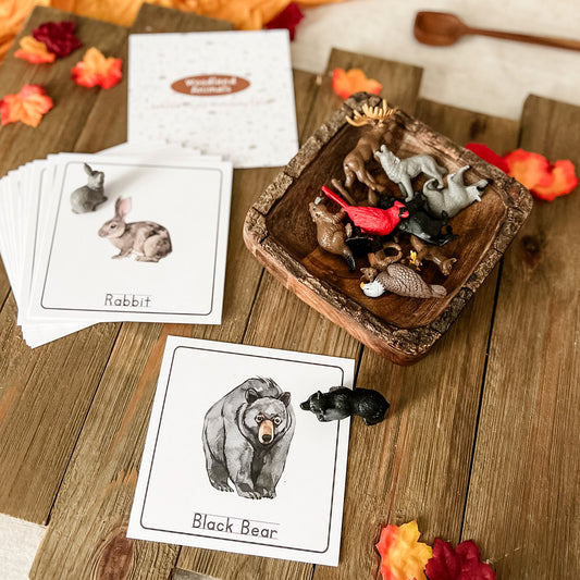 Woodland Animal Matching - Cards and Figures