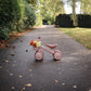 Mini Toddler Bike