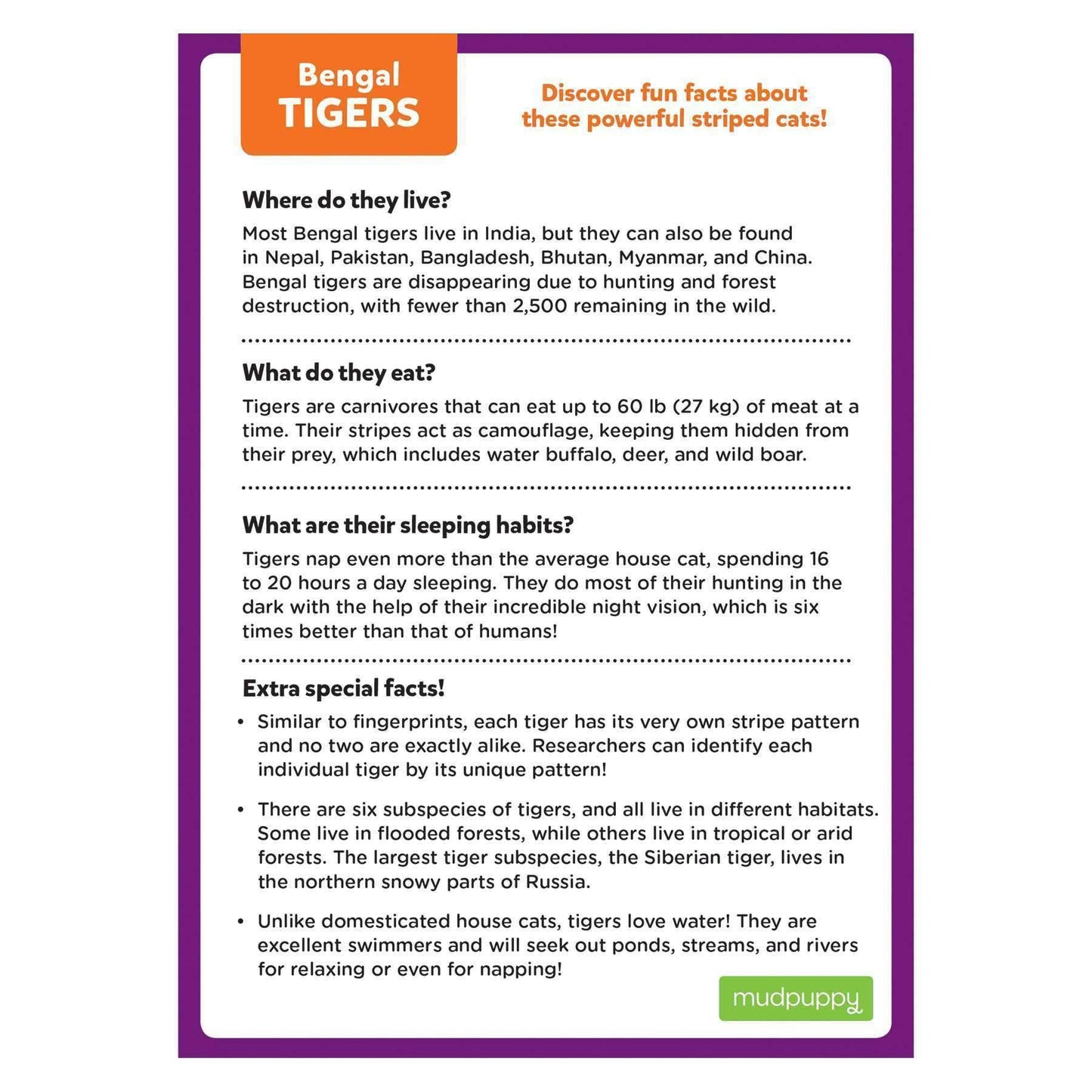 Bengal Tiger 48 Piece Mini Jigsaw Puzzle Mudpuppy