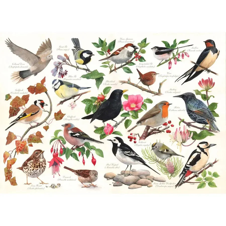 Birds in My Garden 1000 Piece Jigsaw Puzzle HOP